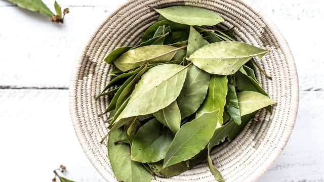 Manfaat Daun Salam. Sumber: Unsplash/Monika Grabkowska