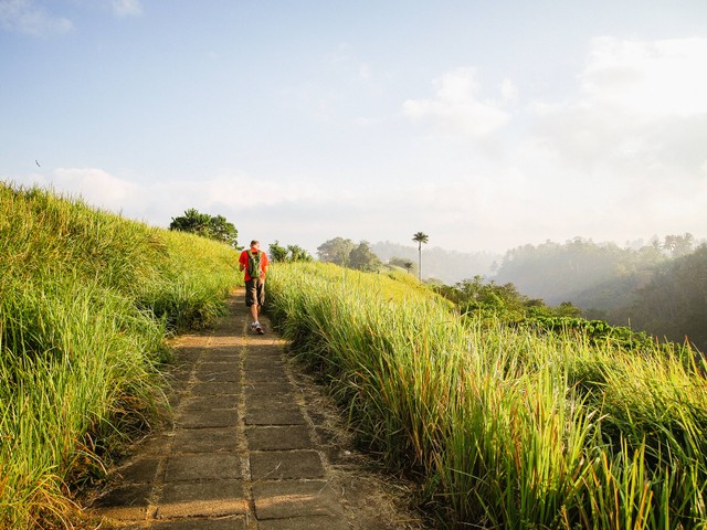 Campuhan Ridge Walk, Foto Hanya Ilustrasi: Unsplash/bckfwd