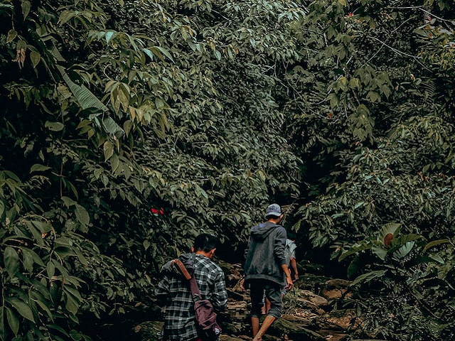 Ilustrasi gunung Patah. Sumber: MhdVvn/unsplash.com.