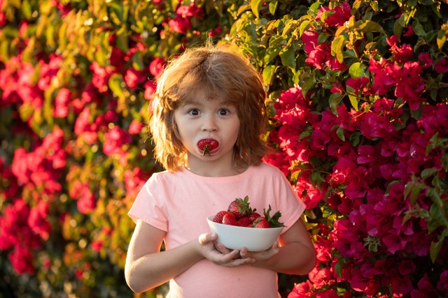 Ilustrasi Generasi Strawberry. Foto: ShutterStock