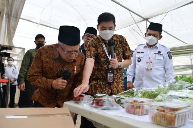 Wapres KH. Ma'ruf Amin saat meninjau Batamindo Green Farm, Batam, Kepulauan Riau, Rabu (7/6).  Foto: Dok. Setwapres