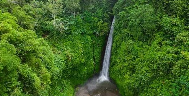 Ilustrasi Tegenungan Waterfall   Sumber www.unsplash.com