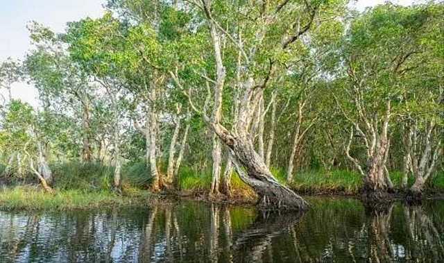 Ilustrasi HTM Bukit Kayu Putih 2023         Foto:Unsplash