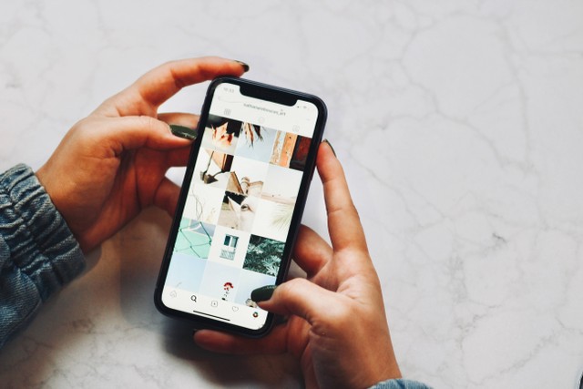 Ilustrasi Tanaman yang Sering Telat, sumber foto (Nathana Reboucas) by unsplash.com