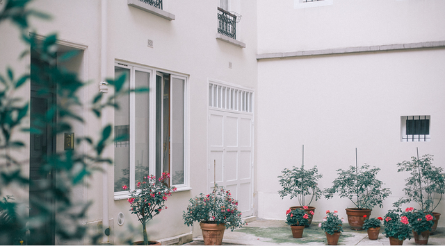 Cara menata bunga di teras rumah sederhan. Foto: pexels.com