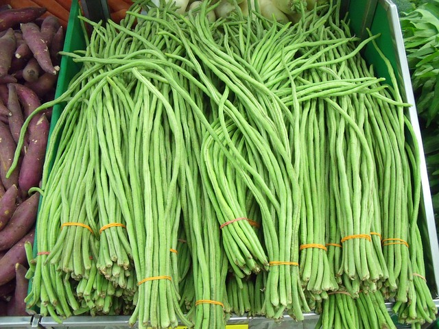 Ilustrasi manfaat kacang panjang. Sumber: YardlongBeans/pixabay.com.