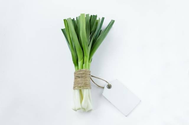 Ilustrasi cara menanam daun bawang di air, sumber foto: Larisa P. by pexels.com