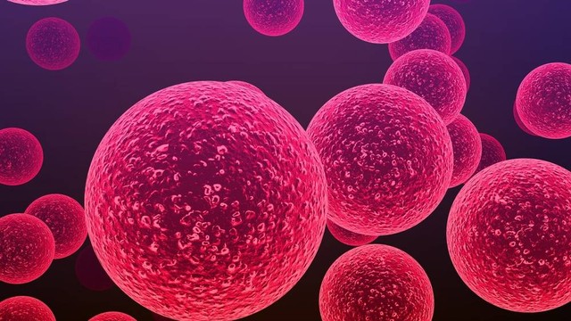  Ilustrasi Streptococcus, bakteri pemakan daging. Foto: Shutter Stock