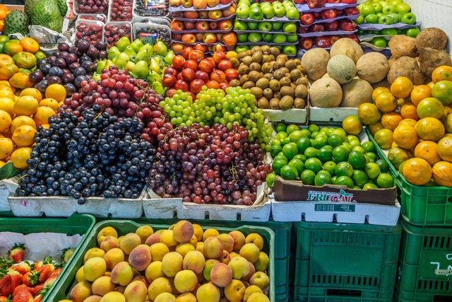 Ilustrasi Manfaat Buah Lontar. Foto: dok. Alexander Schimmeck (Unsplash)