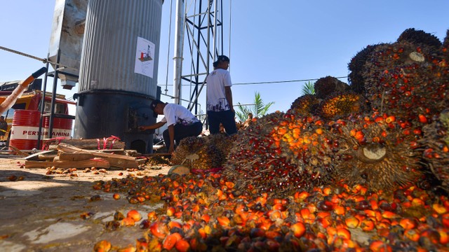 Pengunjung melihat pabrik mini minyak goreng (Pamigo) saat pameran Pekan Nasional Kontak Tani Nelayan (Penas-KTNA) XVI, di Lanud Sutan Sjahrir Padang, Sumatera Barat, Minggu (11/6/2023). Foto:  ANTARA FOTO/Iggoy el Fitra