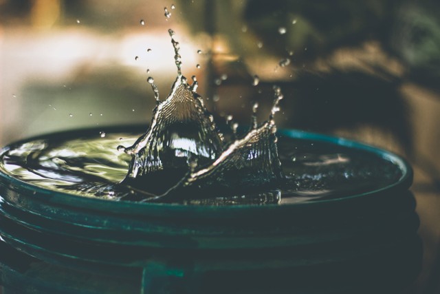 Ilustrasi cara membersihkan najis mukhaffafah, Foto oleh Amritanshu Sikdar di Unsplash