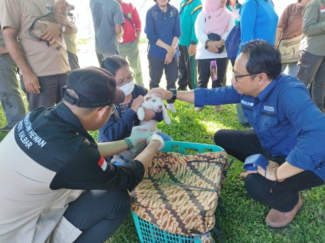 10 Orang Meninggal Karena Rabies, Pemprov Kalbar Salurkan 22.600 Dosis ...