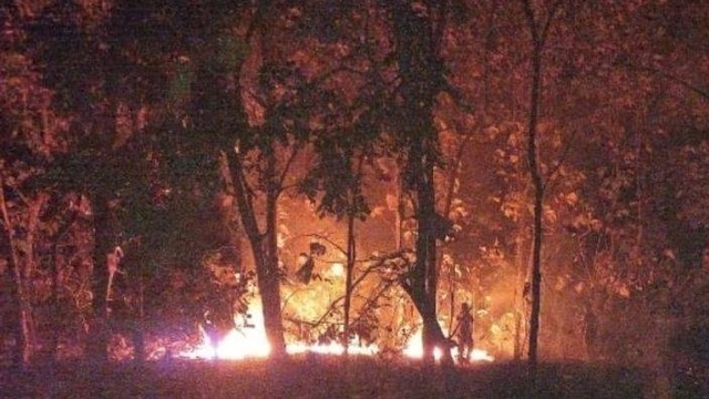 Kebakaran hutan jati di kawasan Taman Nasional Baluran Situbondo, Jawa Timur. Minggu (11/6/2023).  Foto: ANTARA/HO-BPBD Situbondo
