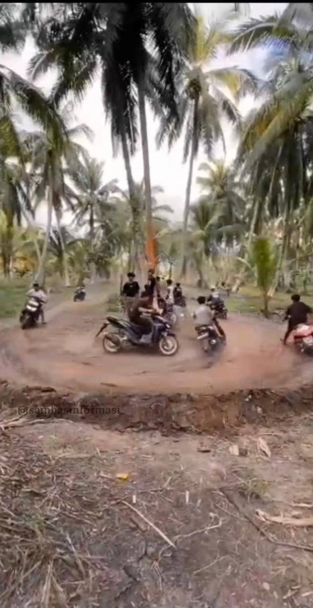 Sekumpulan remaja di Kecamatan Jawai, Kabupaten Sambas menggelar balap liar motor di perkebunan kelapa. Foto: Dok. Istimewa