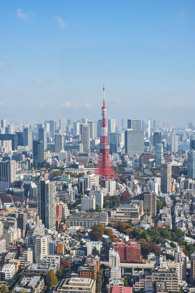 Ilustrasi Tokyo, Jepang. Foto: MaxFrost/Shutterstock