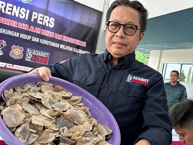 Dirjen Gakkum KLHK, Rasio Ridho Sani, menunjukkan sisik tenggiling yang disita di Kalbar. Foto: Teri/Hi!Pontianak