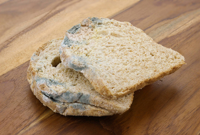 Ilustrasi roti jamuran. Foto: Wella Eriska/Shutterstock