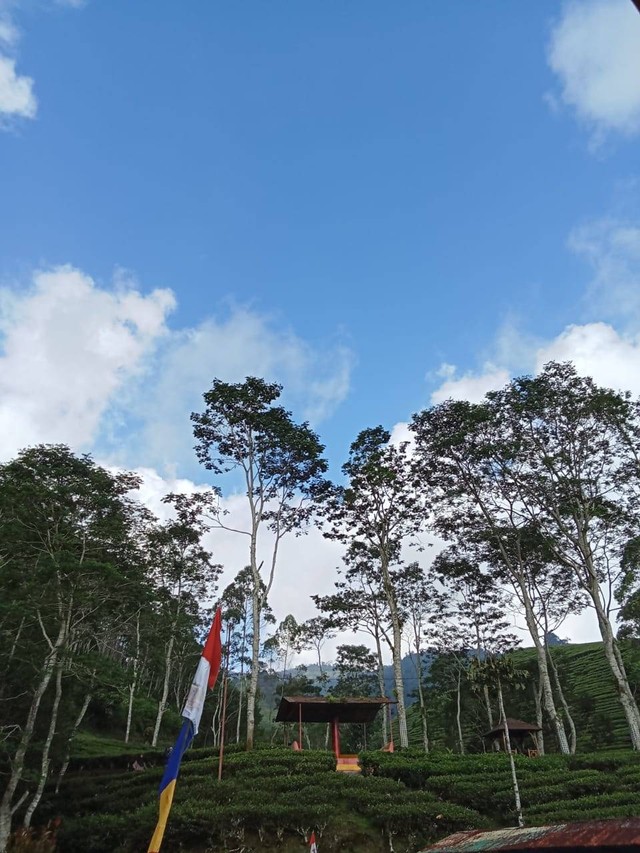 Agrowisata Kaligua: Wisata Agro di Dataran Tinggi Brebes | kumparan.com