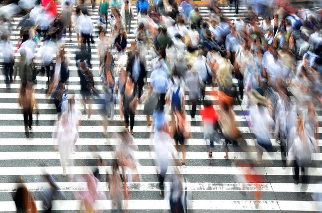 Ilustrasi Populasi adalah. Foto: pixabay
