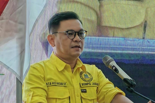 Ketua DPD Golkar Jabar, Ace Hasan Syadzili. Foto: Dok. Istimewa