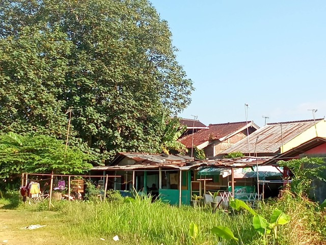 Situasi rumah yang berada di dalam lingkungan Taman Budaya Soetedja Banyumas. Rabu (31/05/2023). Foto: dokumentasi pribadi.