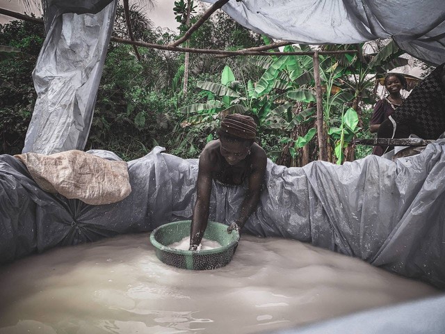 Ilustrasi manfaat air cucian beras untuk tamaman. Sumber foto: pexels/Tope A. Asokere