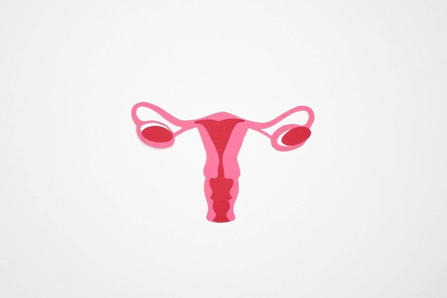 Ilustrasi Fungsi Uterus | Sumber: Pexels/Nadezhda Moryak