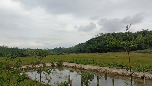 Sumber: Dokumentasi Pribadi Embung dan Area Sawah (12/05/2023)