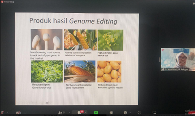 Gambar: Slide paparan produksi hasil genome editing pada kegiatan FS3. (Foto dok. Paparan Presentasi Sri Koerniati, Peneliti BRIN).