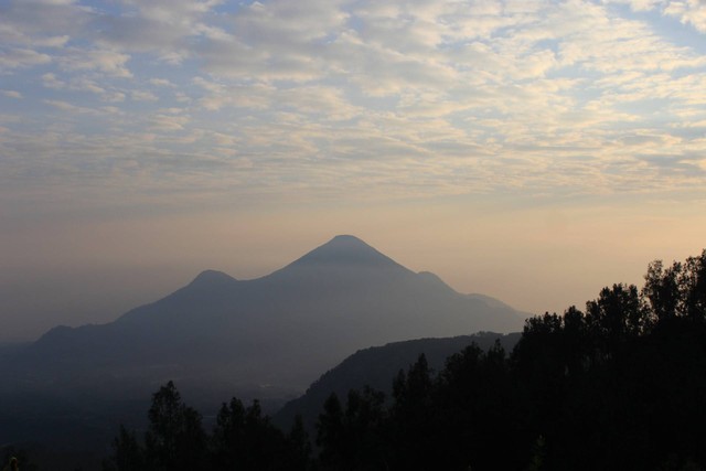 Ilustrasi ucapan selamat ulang tahun kota Mojokerto. Foto: unsplash.com/Abdul Mukti