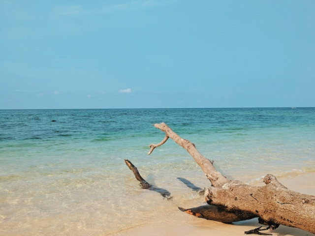Ilustrasi hotel di Banyuwangi dekat pantai. Sumber: unsplash.com/ArisForgen.