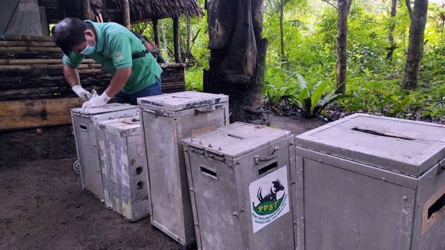 Seorang petugas membuka kandang berisi monyet Yaki yang akan dilepasliarkan di Gunung Ambang, Sulawesi Utara.