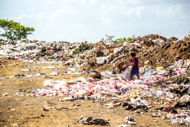 Bagaimana Cara Menjaga Kebersihan Lingkungan?. Foto: Unsplah/Hermes Rivera.