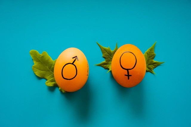 Arti Gender. Foto: Unsplash