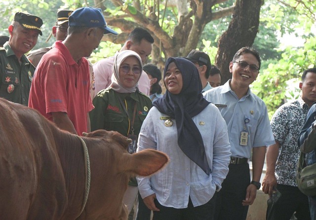 Bupati Sleman, Kustini Sri Purnomo saat mengunjungi Pasar Hewan Ambarketawang, Gamping, Selasa (20/6). Foto: Arif UT/Pandangan Jogja