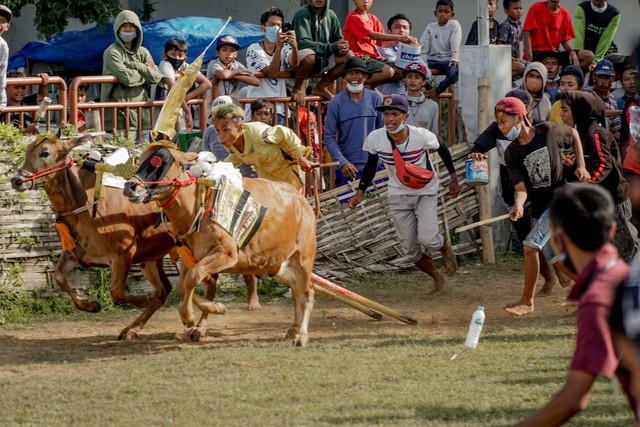 Ilustrasi kearifan lokal Jawa Timur. Sumber foto: Pexels.com