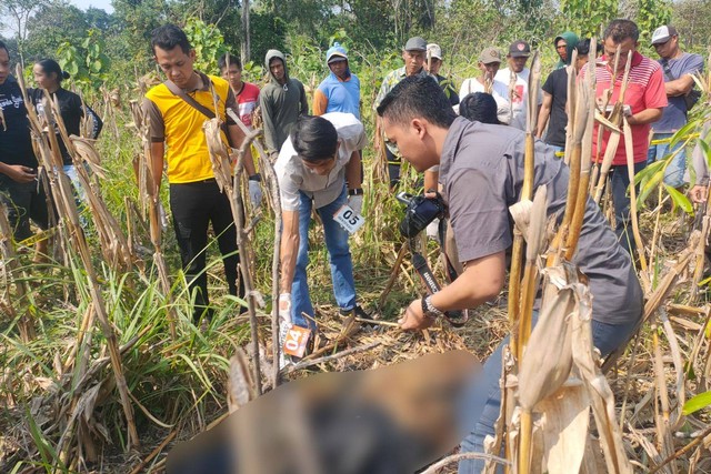 Jasad perempuan ditemukan di petak 53A1 ladang jagung milik Perhutani Desa Bangunrejo Kidul, Kedunggalar, Kabupaten Ngawi, Selasa (20/6/2023).  Foto: Polres Ngawi 