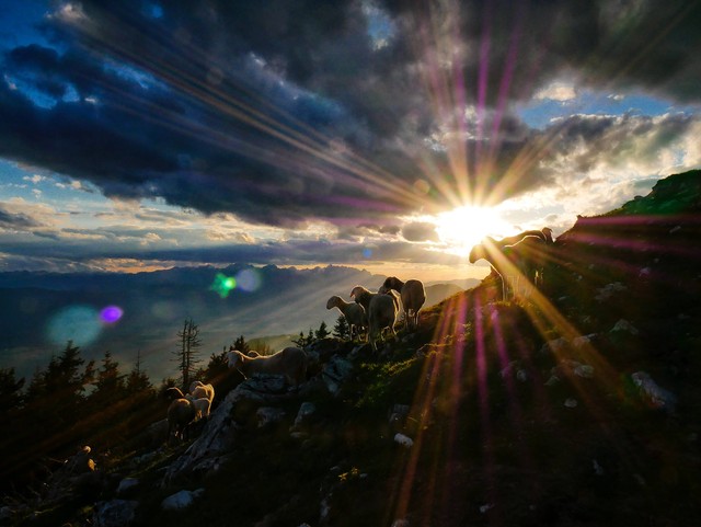 Ilustrasi Bukit Tangkeban, sumber foto (Jaka Skrlep) by unsplash.com
