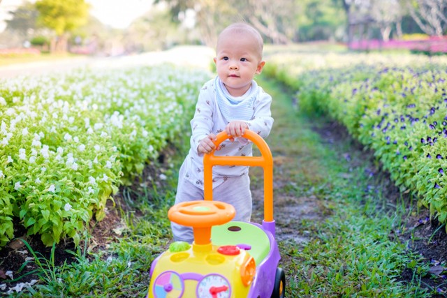 Baby push walker untuk bayi. Foto: Shutterstock