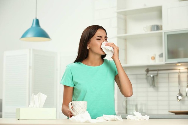 Buruknya kualitas udara di rumah dapat membuat penghuninya mudah sakit. Foto: Shutterstock
