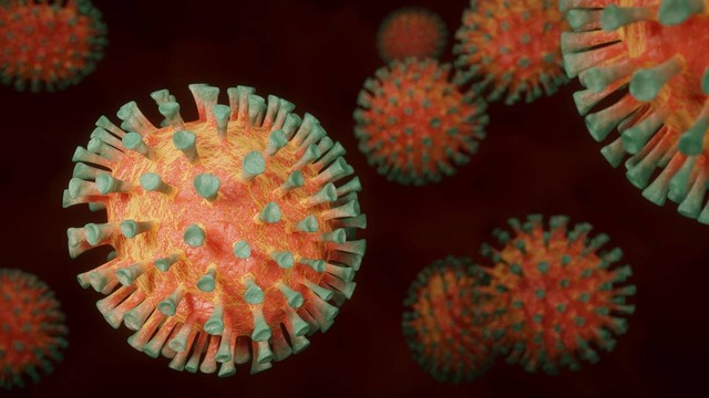 Ilustrasi Pengertian Virus. Foto: Pixabay.