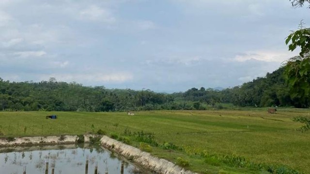 Pemandangan Dari Pendaa Adipati Kandhadhaha. Dokumentasi Pribadi