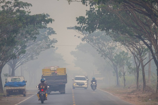 Pengendara kendaraan bermotor melintas di tengah kabut asap akibat kebakaran lahan di Kecamatan Liang Anggang, Banjarbaru, Kalimantan Selatan, Jumat (23/6/2023). Foto: Bayu Pratama S/Antara Foto