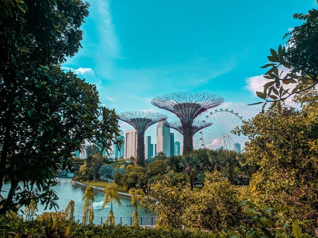 Ilustrasi Daya Tarik Garden By the Bay Singapura, sumber foto (Felix Fuchs) by unsplash.com