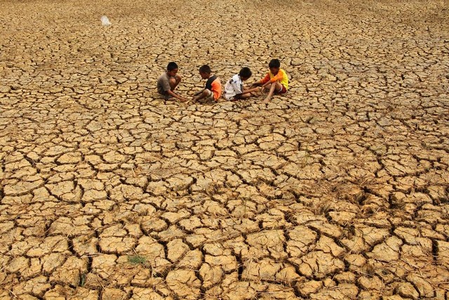 Sejumlah anak bermain di area persawahan yang terdampak kekeringan akibat musim kemarau di Desa Pajukukang, Kabupaten Maros, Sulawesi Selatan, Minggu (25/6/2023).  Foto: Arnas Padda/ANTARA FOTO