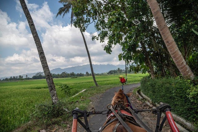 Desa Wisata Sawitan, Magelang, Jateng, Minggu (25/6/2023). Foto: Kemenparekraf