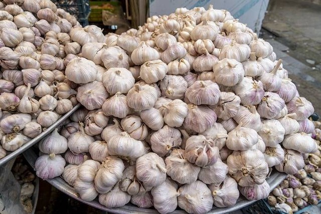 Ilustrasi manfaat bawang putih bakar. Sumber: unsplash.com/ Akbar Nemati