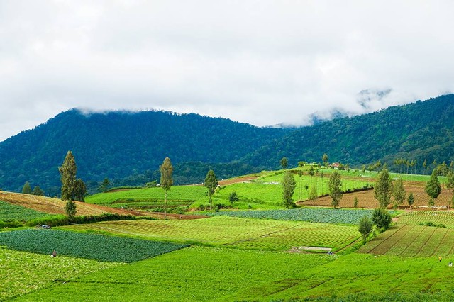 Ilustrasi wisata alam di Malang. Sumber: www.unsplash.com