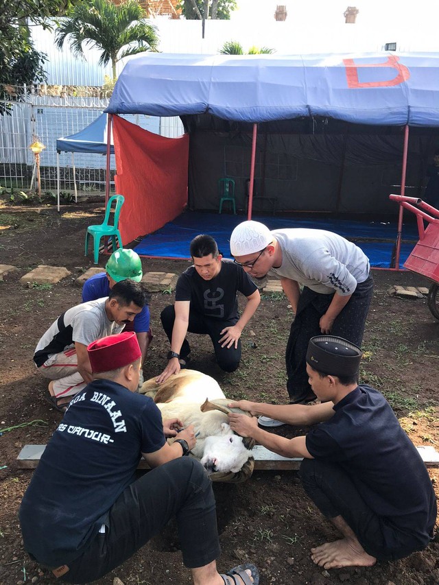 Kalapas Cianjur menyaksikan Penyembelihan Hewan Qurban secara langsung