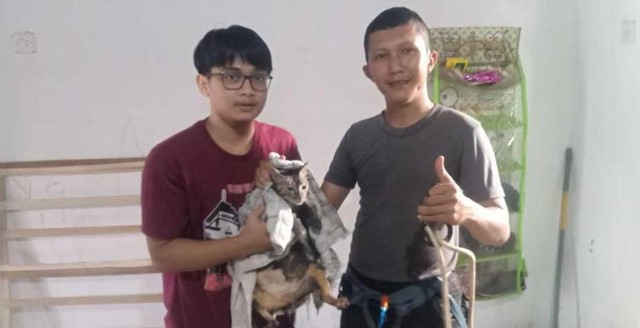 Seekor kucing peliharaan milik warga Pringsewu, Lampung yang berhasil diselamatkan petugas BPBD usai tercebur ke dalam sumur. | Foto : Dok. BPBD Pringsewu